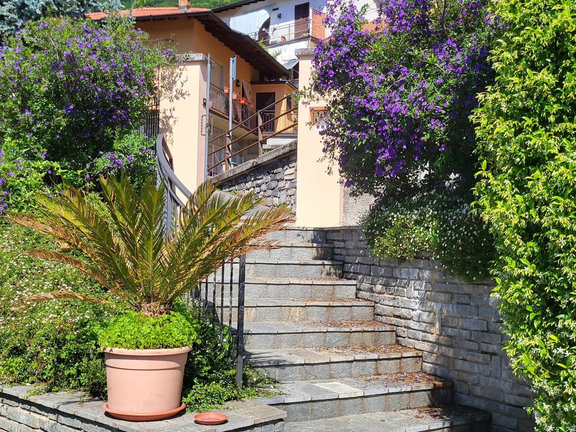 Casa Intignano - Appartamento Con Terrazzo Vista Lago Тремеццо Екстер'єр фото